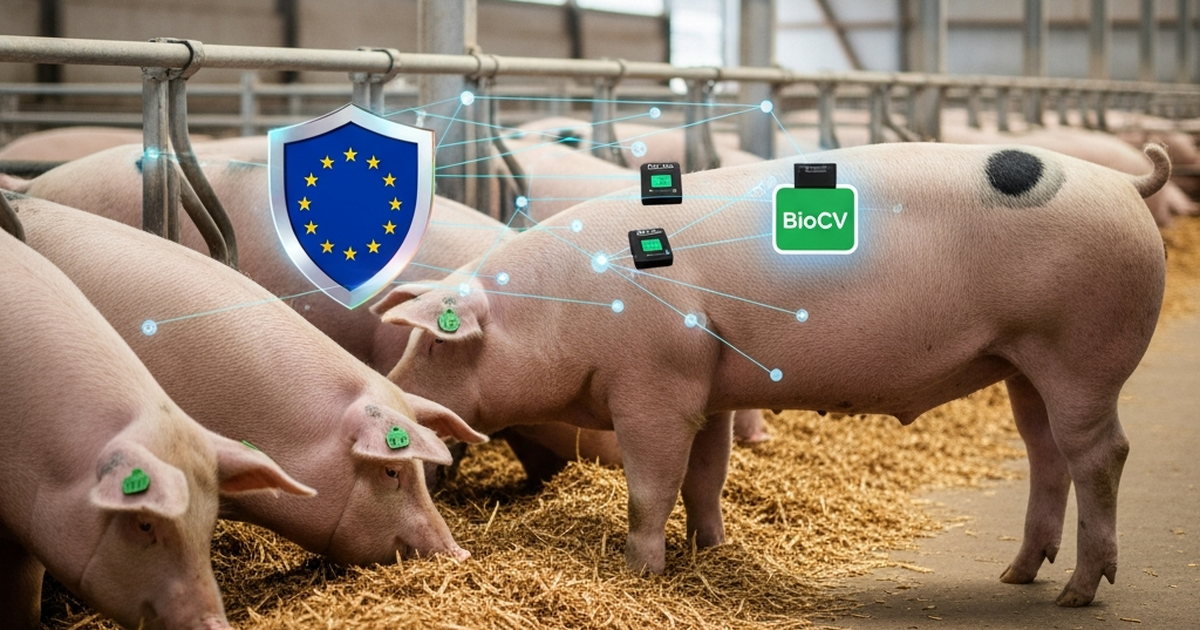 EU-Tierschutzreform 2026: Was die neuen digitalen Überwachungsvorschriften für Schweinehalter bedeuten